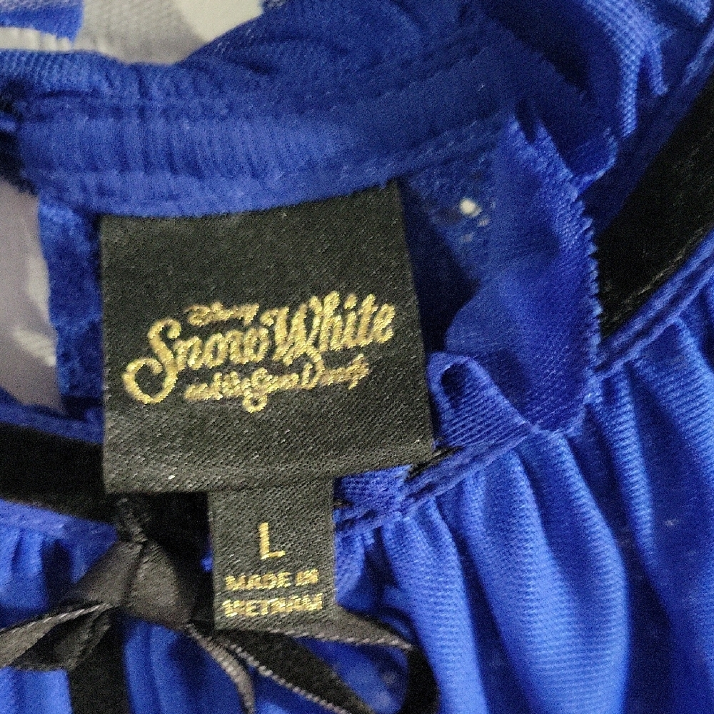 Disney Snow White Elegant Blue Lace Dress - Picture 6 of 6